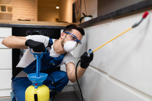 Best Affordable Pest Control Services  in Plum Grove, TX