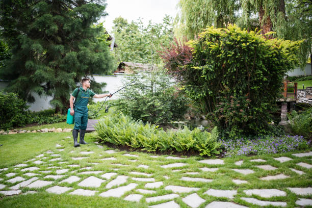 Best Best Pest Control Companies  in Plum Grove, TX