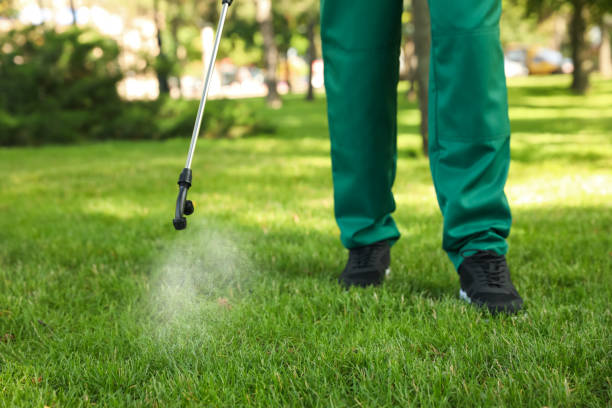 Best Wasp Removal Services  in Plum Grove, TX