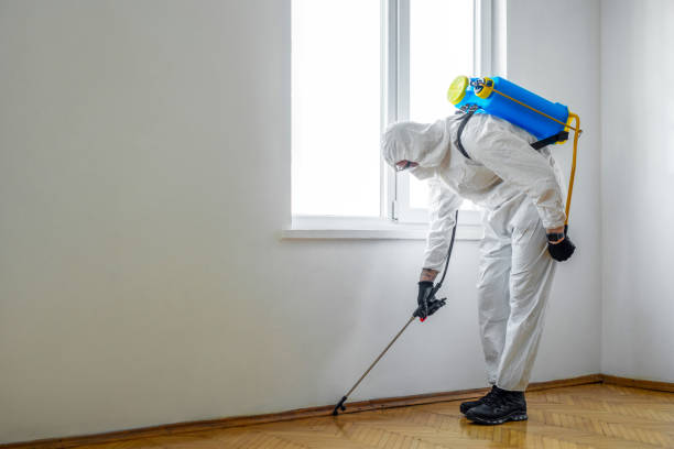 Best Best Pest Control Companies  in Plum Grove, TX