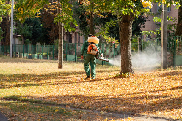 Best Residential Pest Control  in Plum Grove, TX