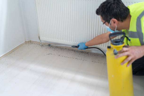 Pest Control for Restaurants in Plum Grove, TX