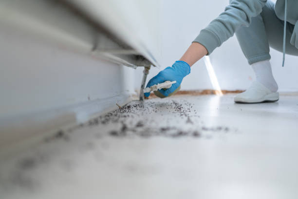 Best Pest Control for Businesses  in Plum Grove, TX