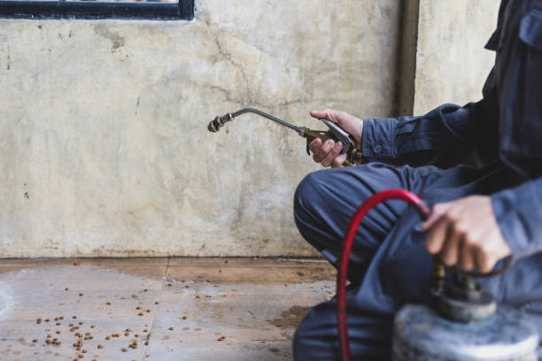 Best Residential Pest Control  in Plum Grove, TX